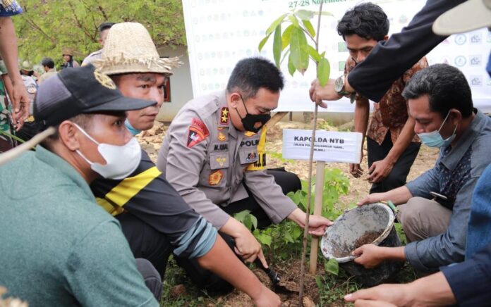 Gerakan NTB Hijau, Kapolda dan Pemuda Tanam 10.000 Pohon di Desa Tumpak