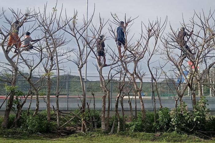 Euforia Balapan IATC Sirkuit Mandalika, Warga +62 Ada Yang Manjat Pohon