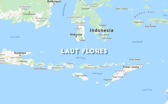 Gempa Bumi 7,4 M Guncang Larantuka NTT