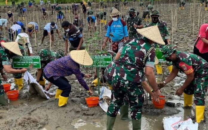 Jenderal TNI Dudung Abdurachman Tanam Pohon di KEK Mandalika