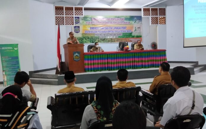 Balai Pelatihan dan Perkebunan Provinsi NTB Gelar Bimtek Budidaya Porang