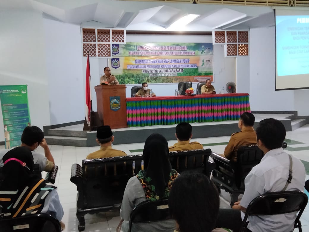 Balai Pelatihan dan Perkebunan Provinsi NTB Gelar Bimtek Budidaya Porang