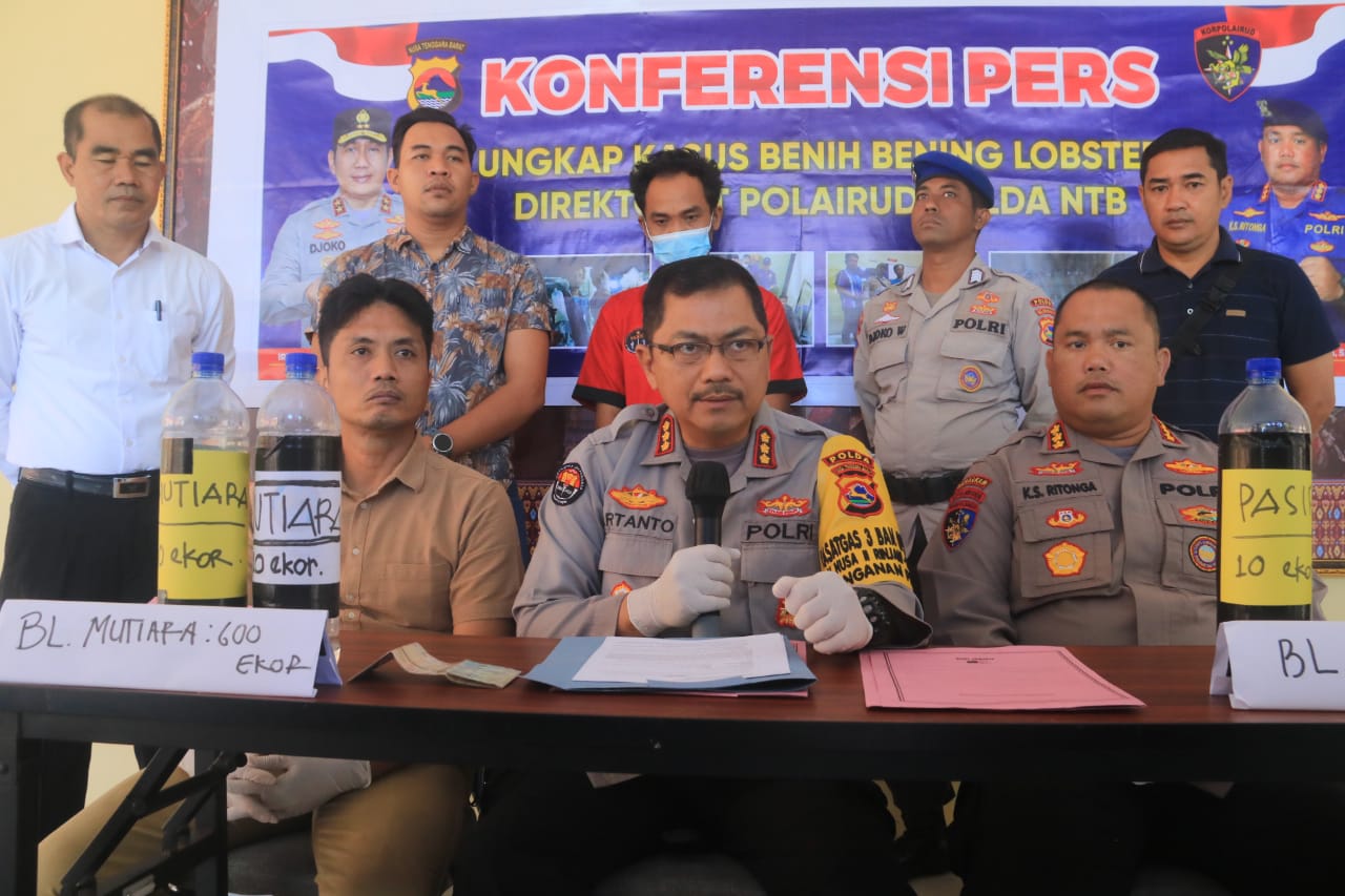 Ditpolairud Polda NTB Amankan Ribuan Benih Lobster Yang Hendak Diselundupkan