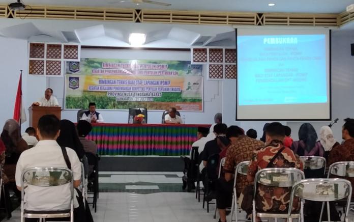 Balai Pelatihan dan Perkebunan NTB Gelar Bimtek Pengendalian OPT Jagung